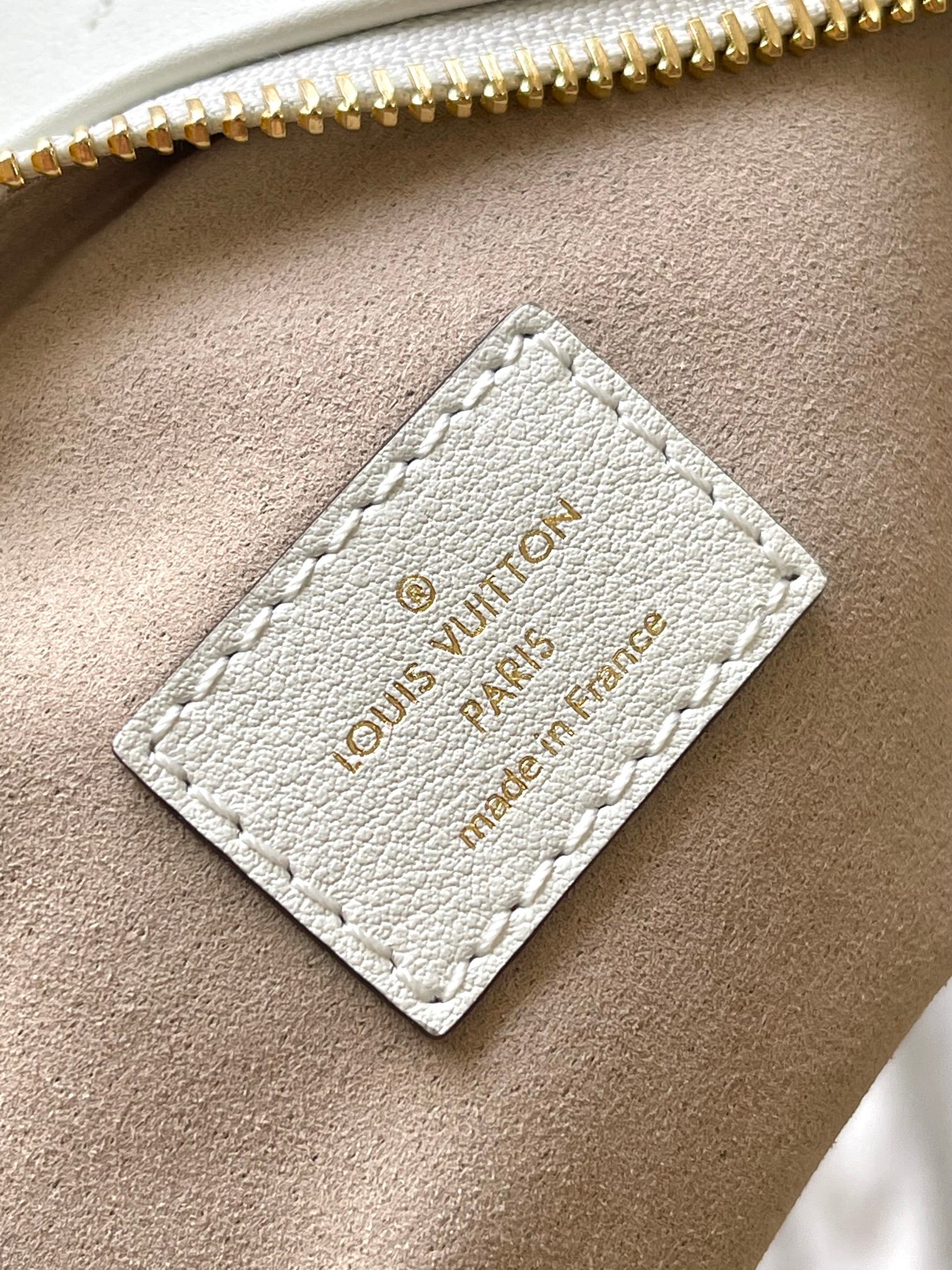 LV Bag