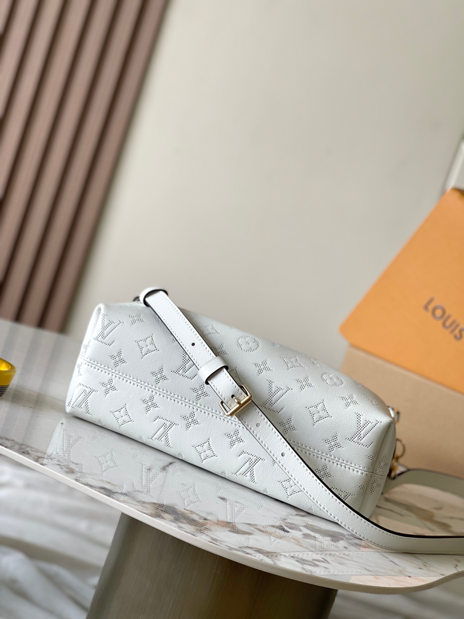 LV Bag