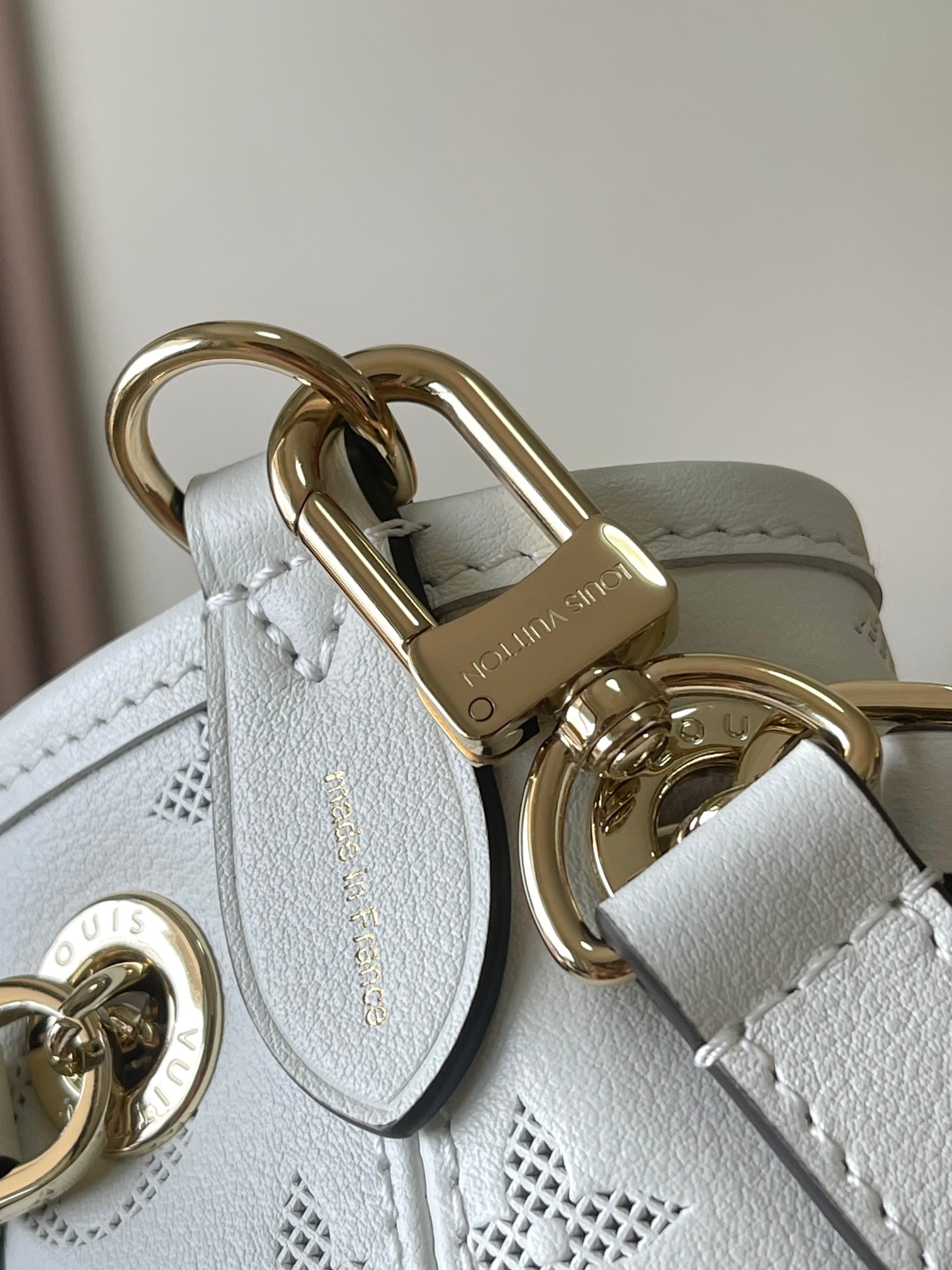 LV Bag