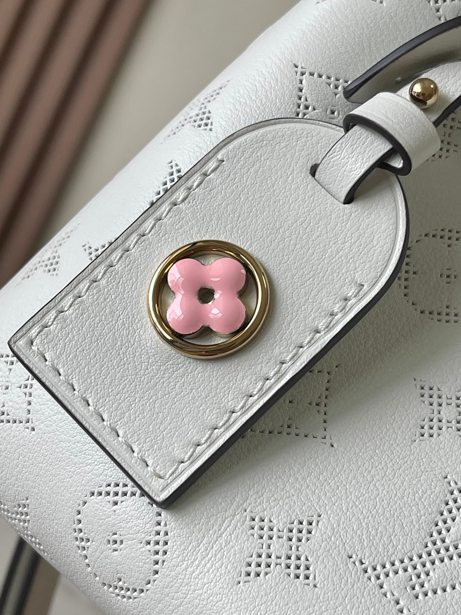 LV Bag