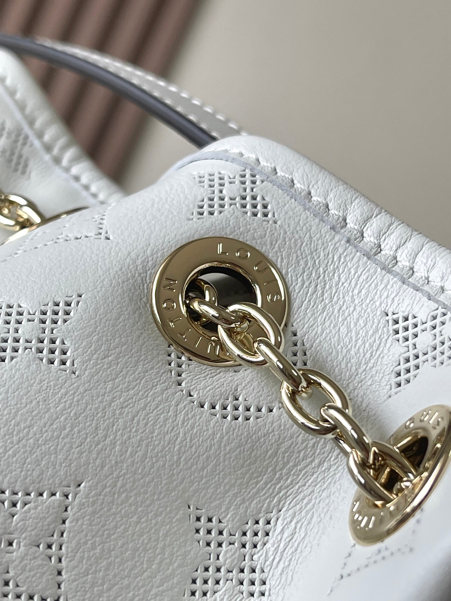 LV Bag