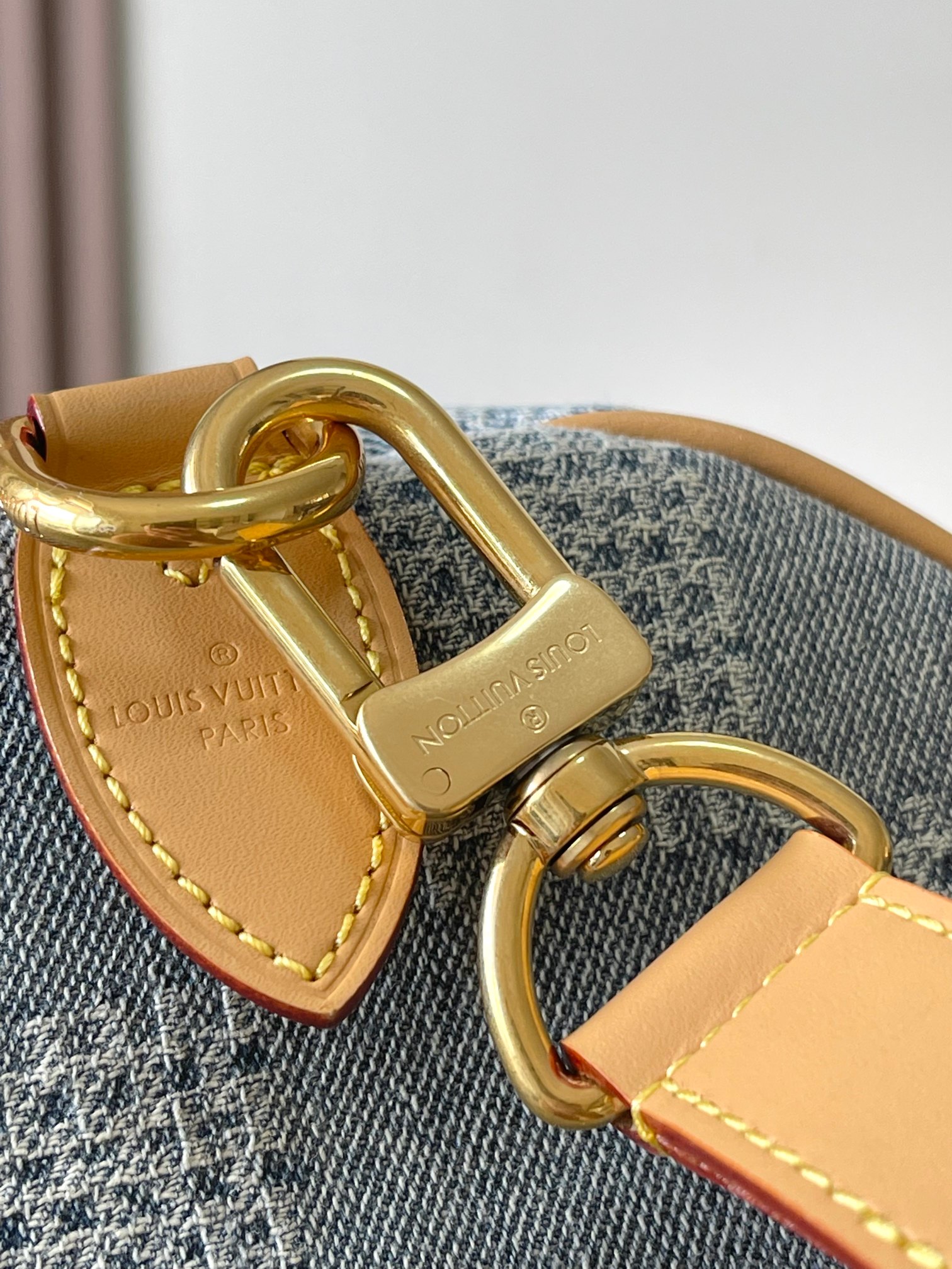 LV Bag
