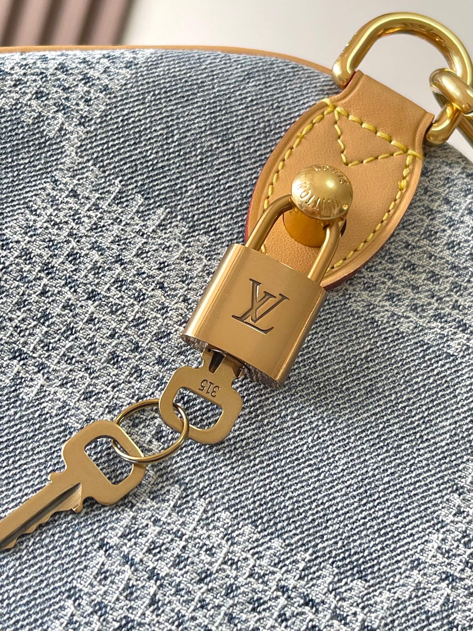 LV Bag
