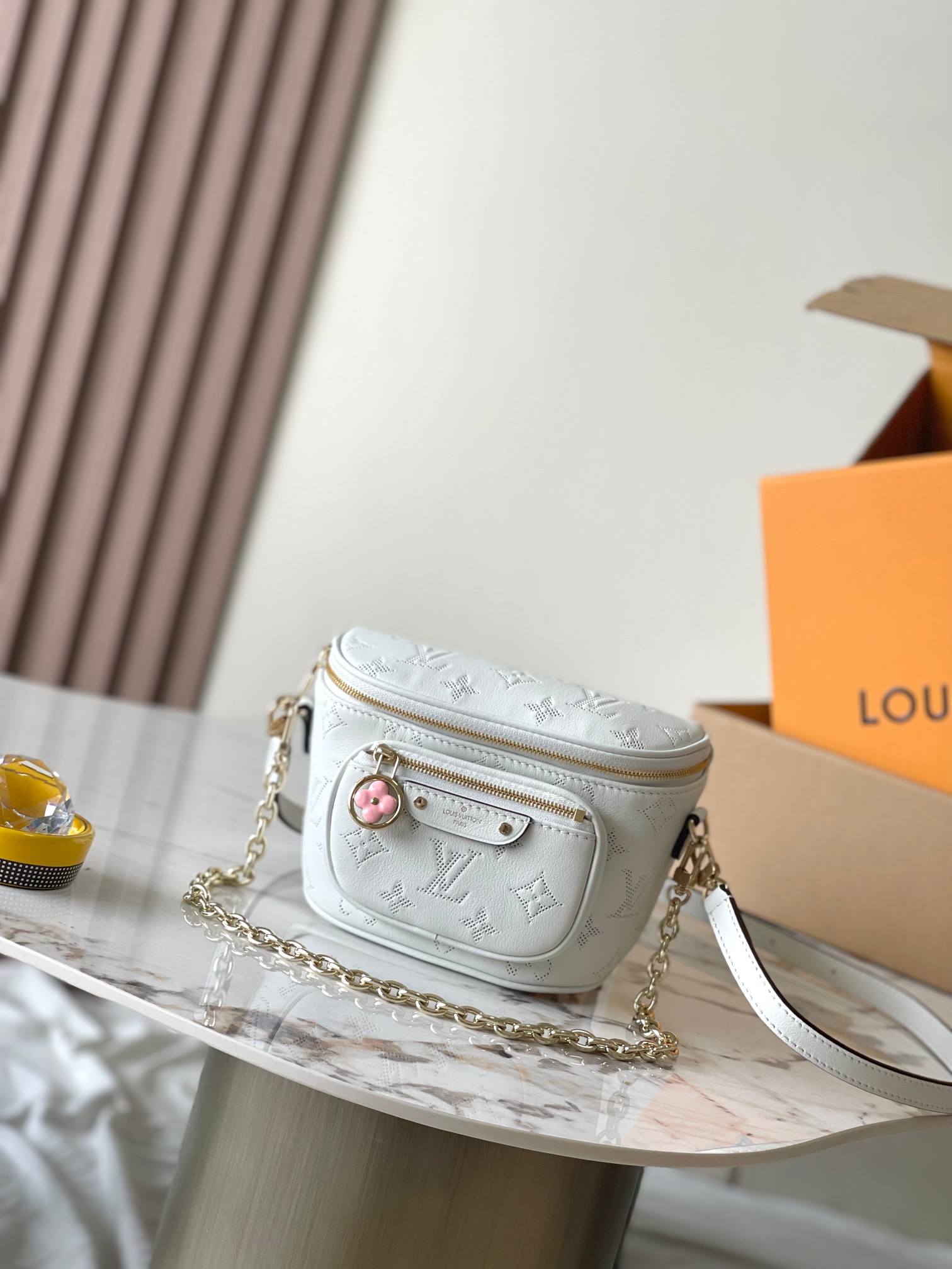 LV Bag