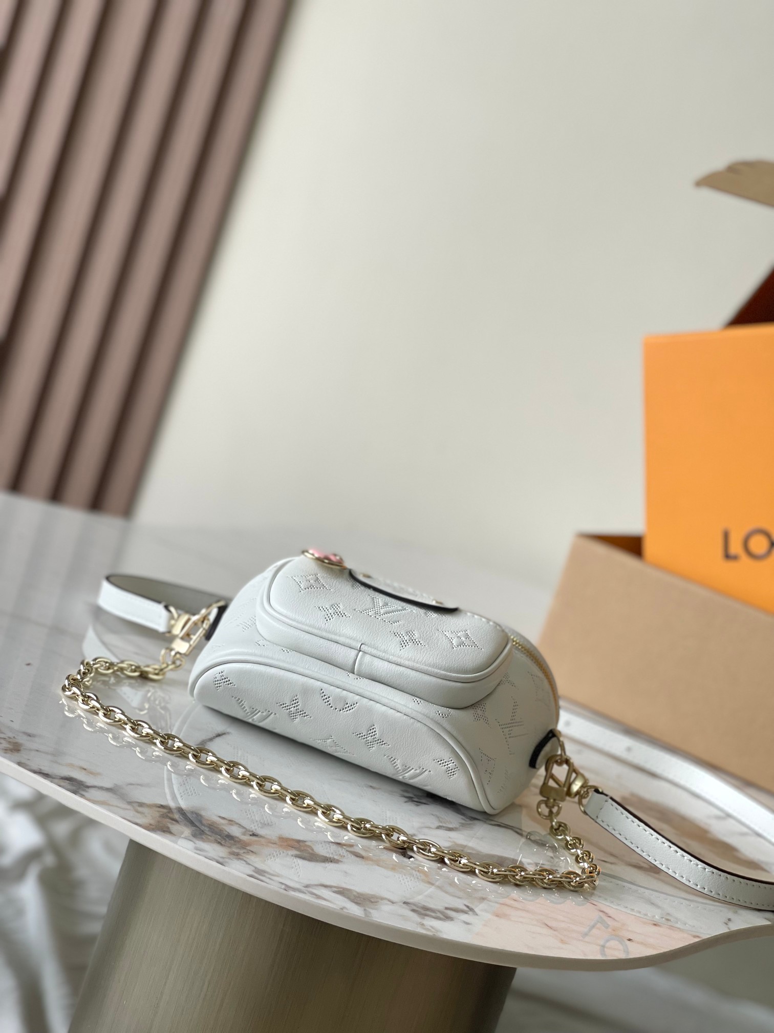 LV Bag