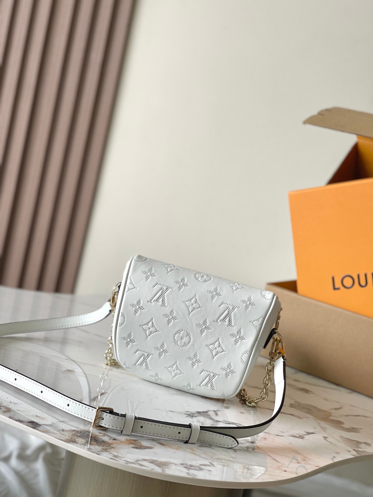 LV Bag
