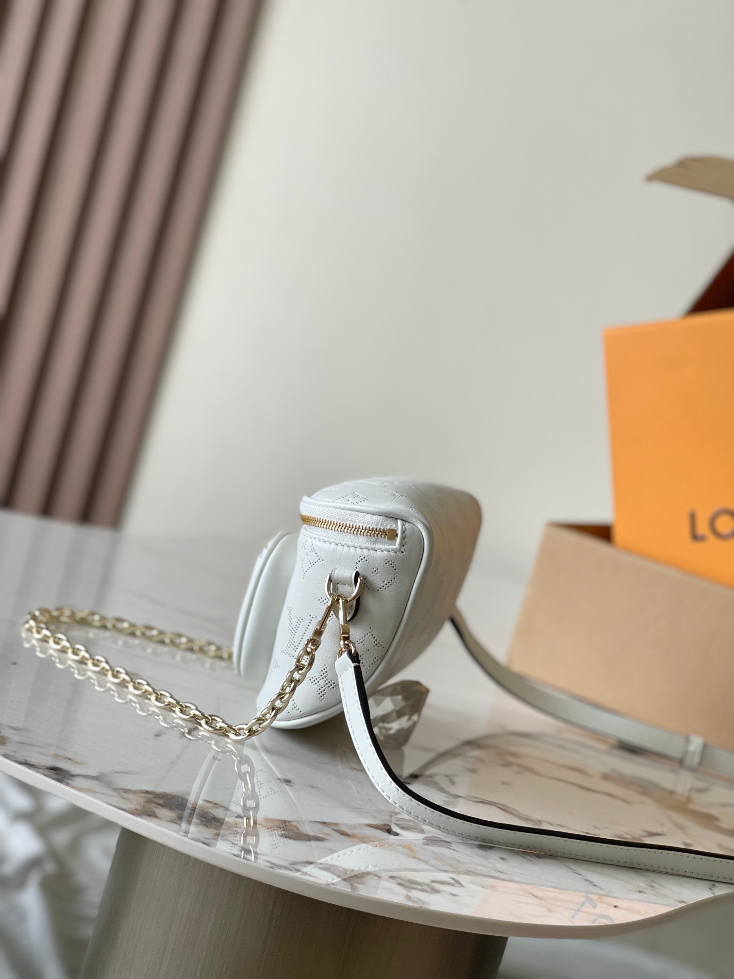 LV Bag