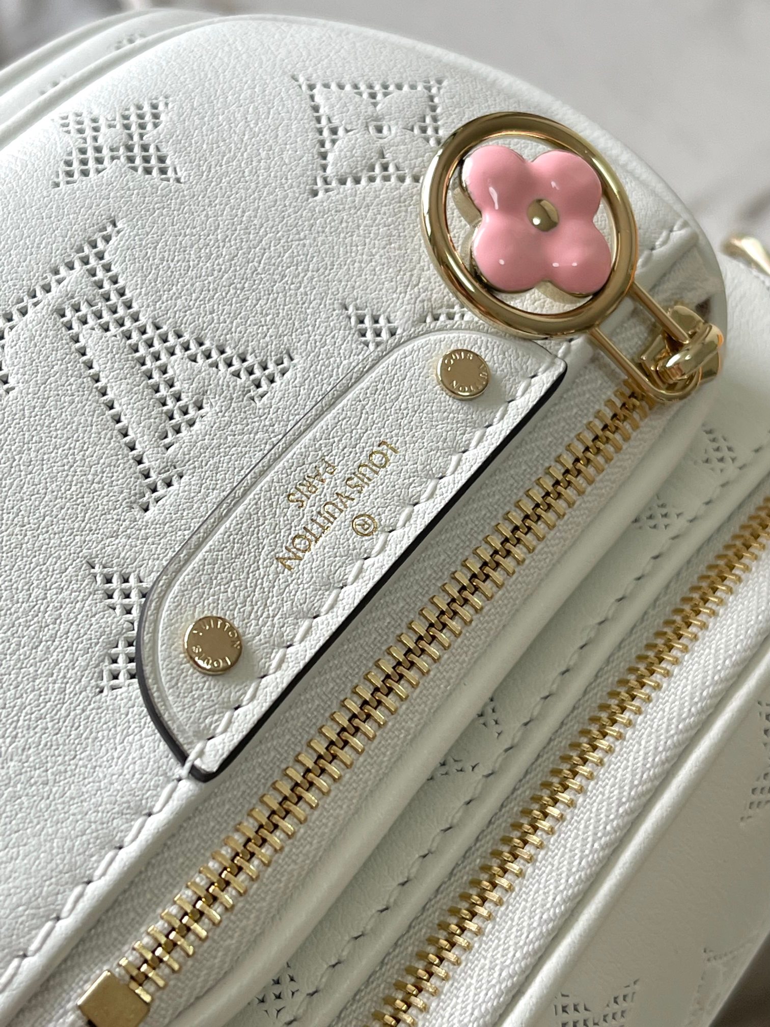 LV Bag
