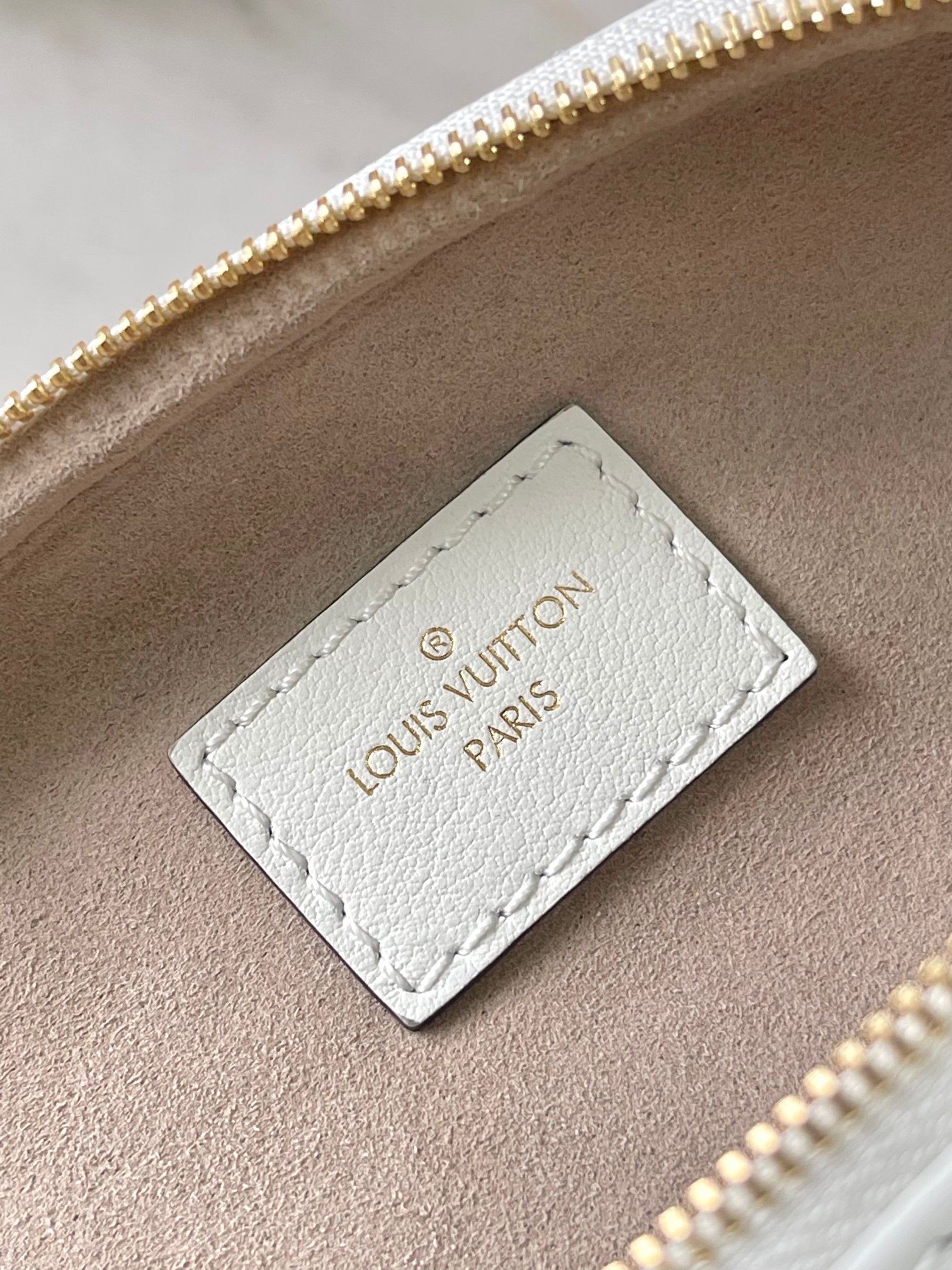 LV Bag