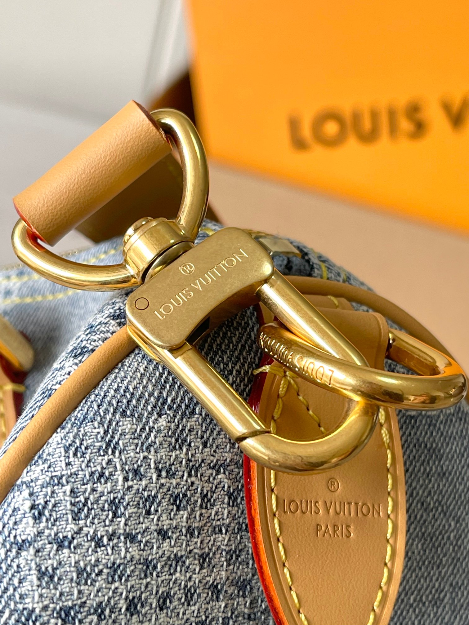 LV Bag