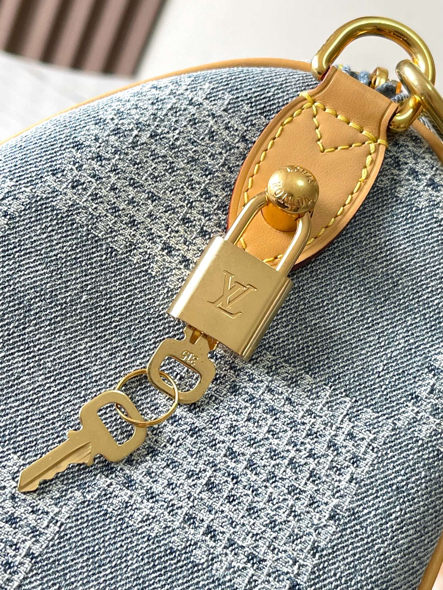 LV Bag