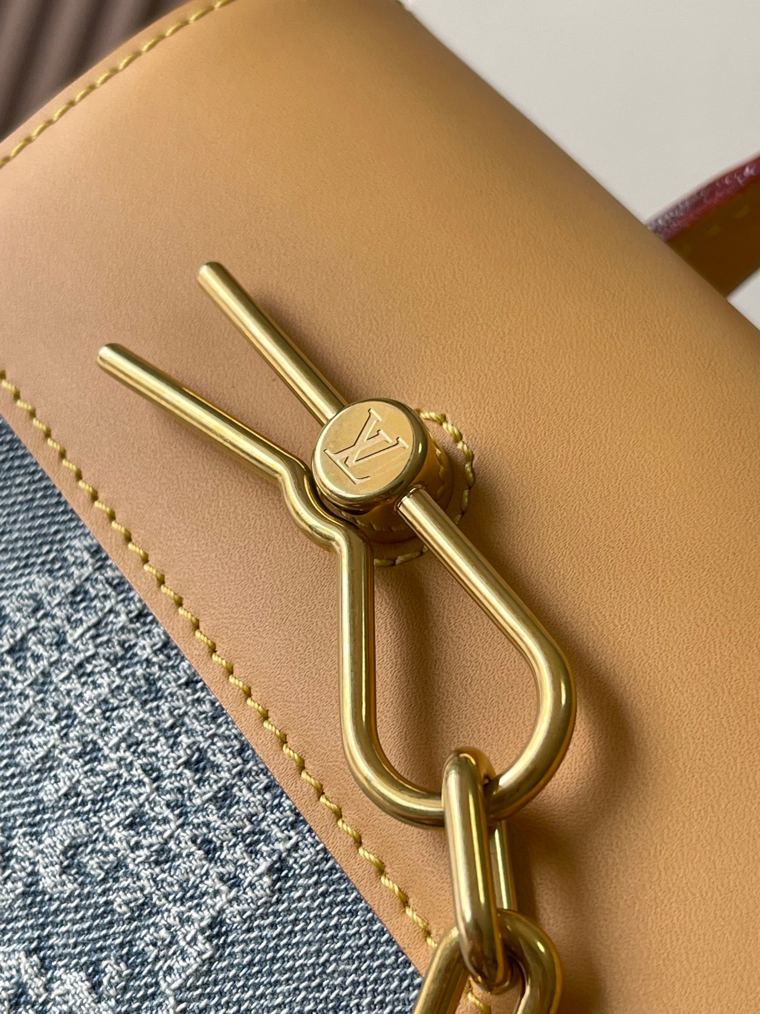 LV Bag