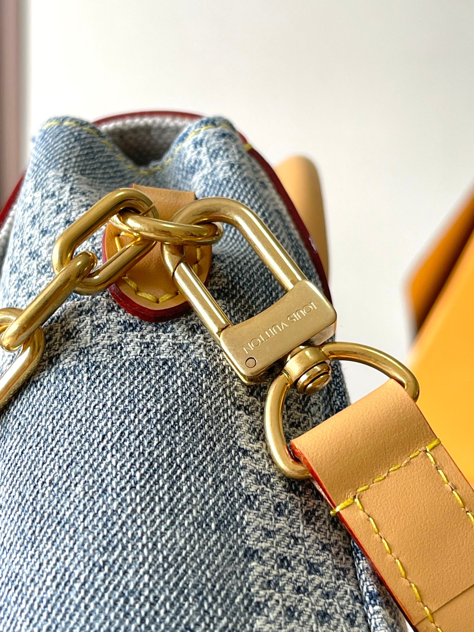 LV Bag