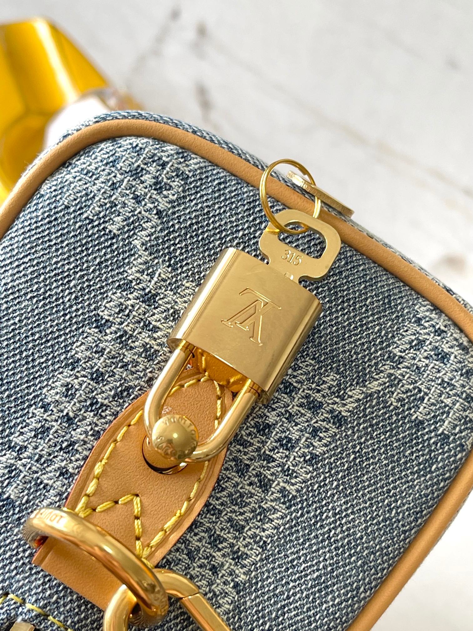 LV Bag