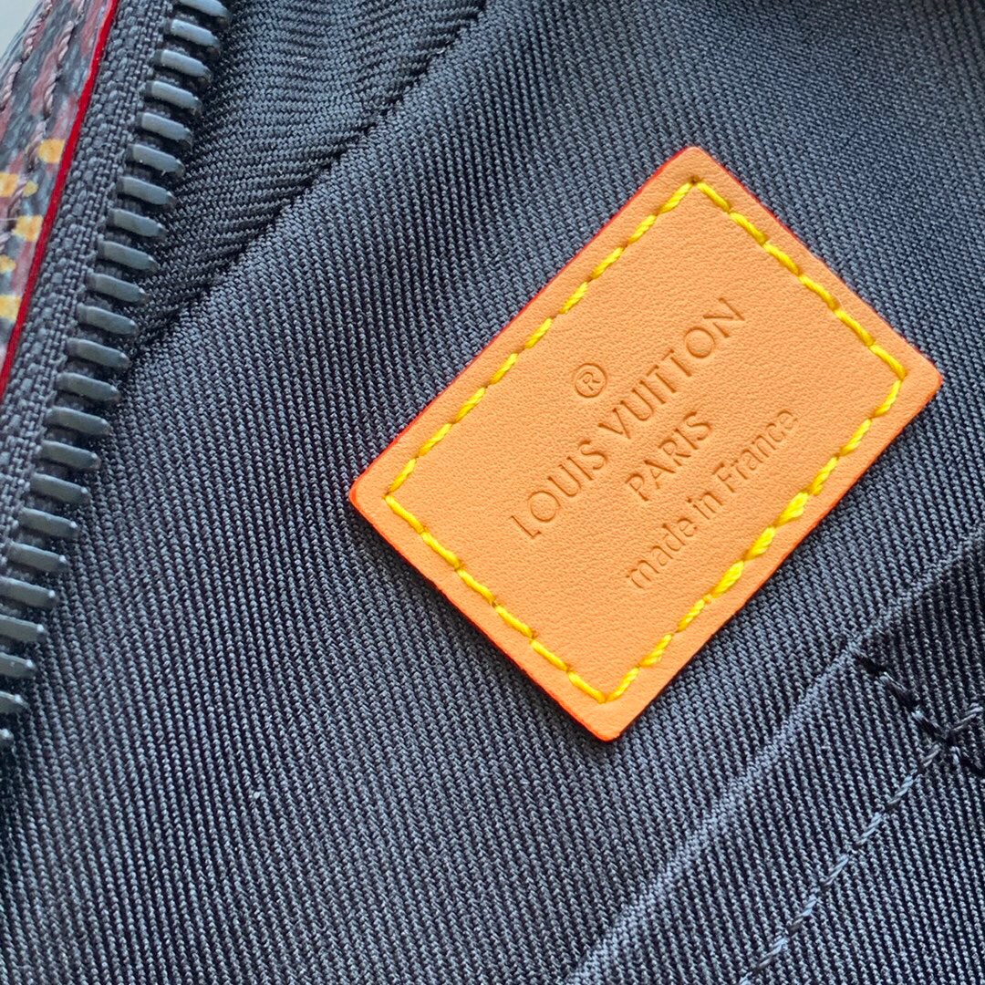 LV Bag