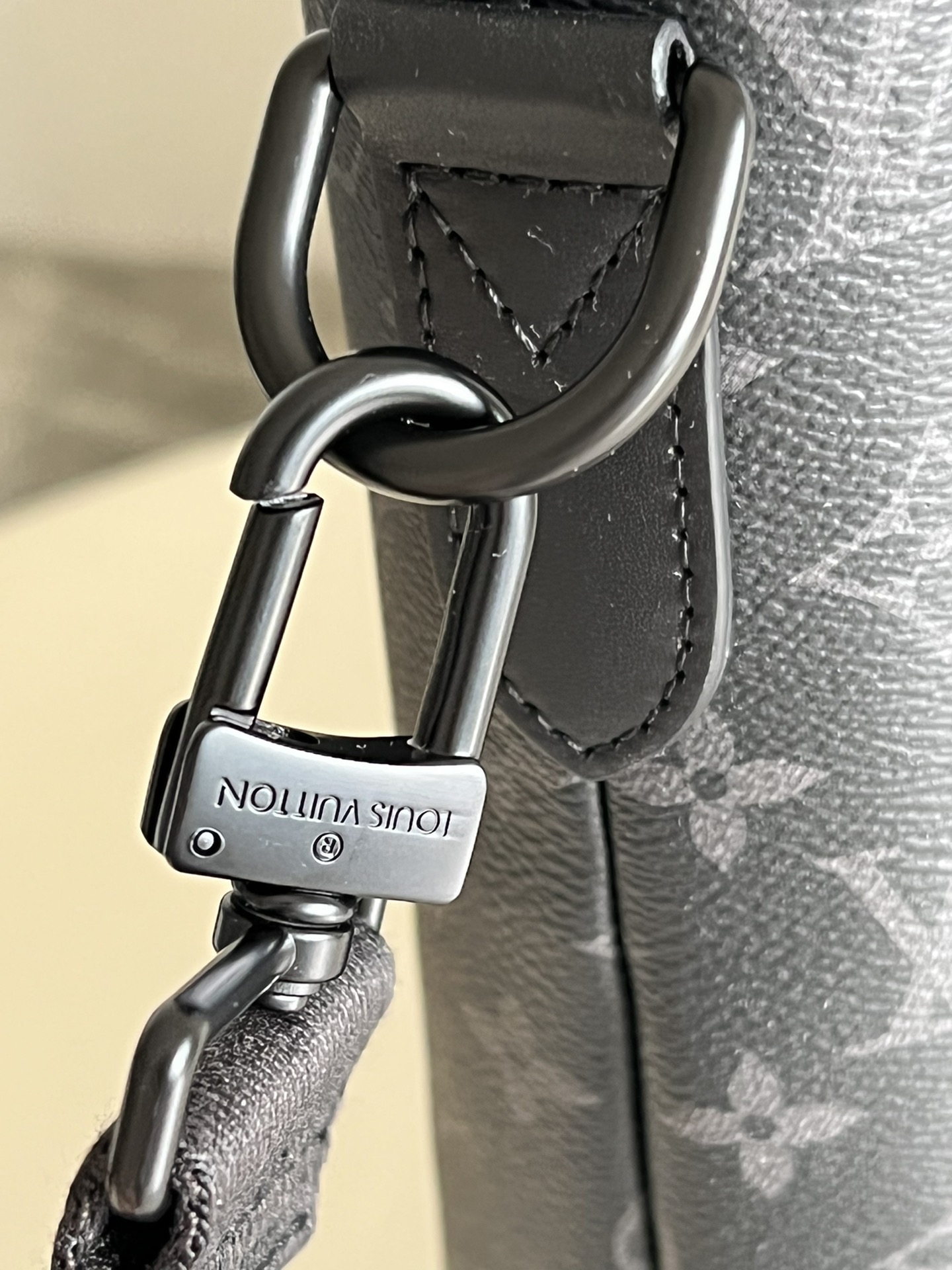 LV Bag