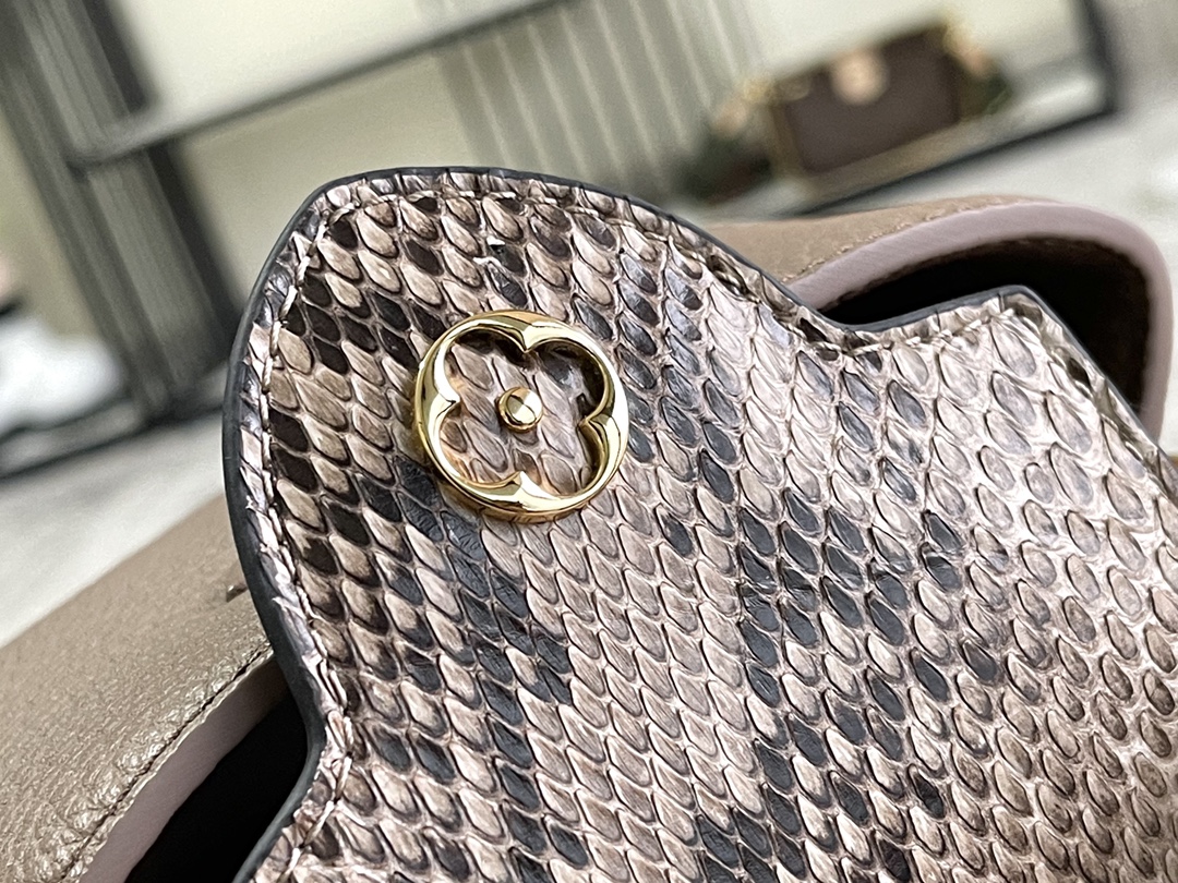 LV Bag