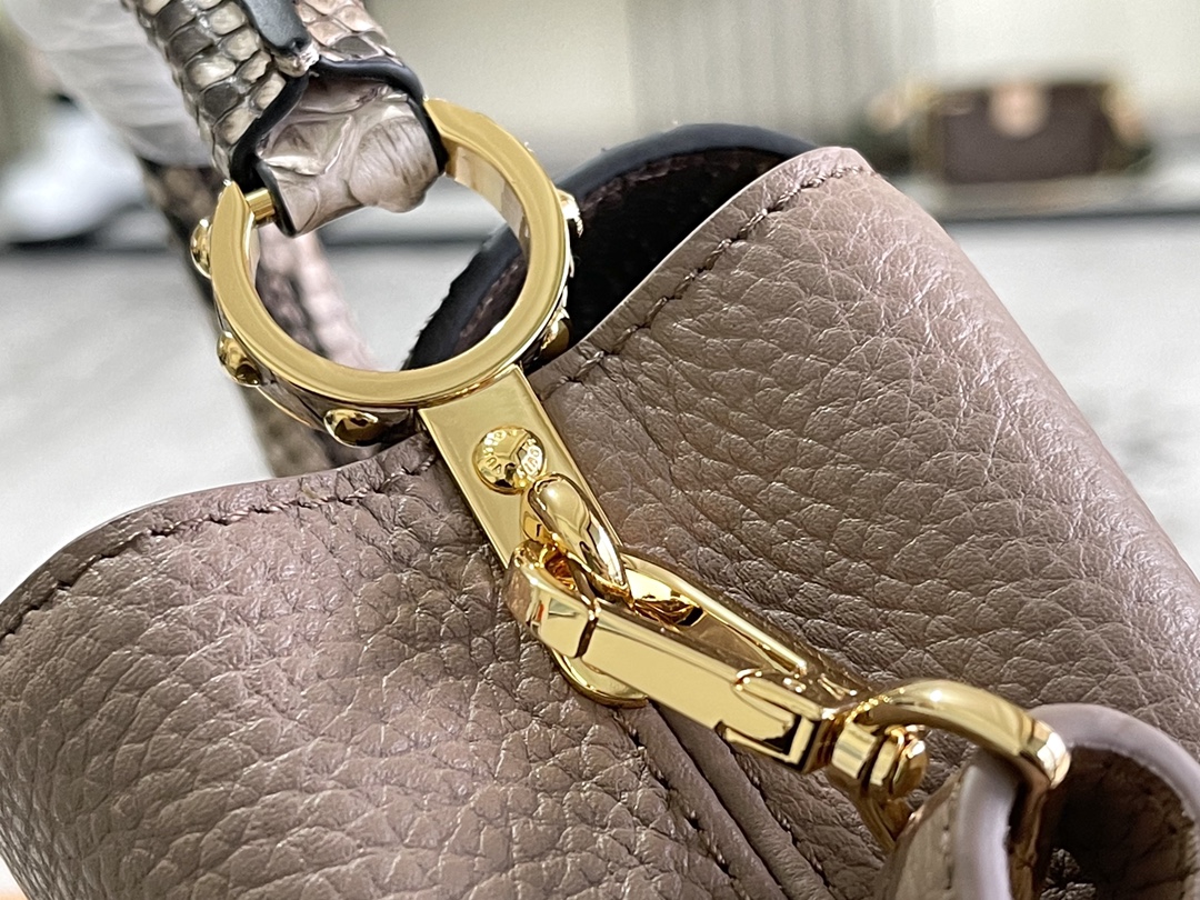 LV Bag