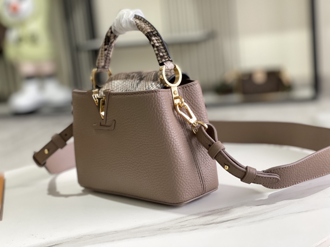 LV Bag