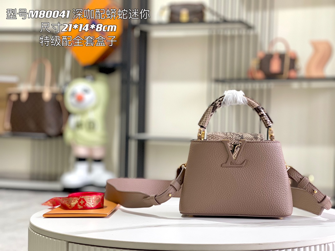 LV Bag