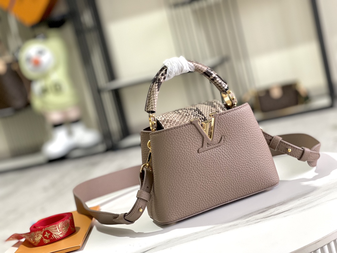 LV Bag