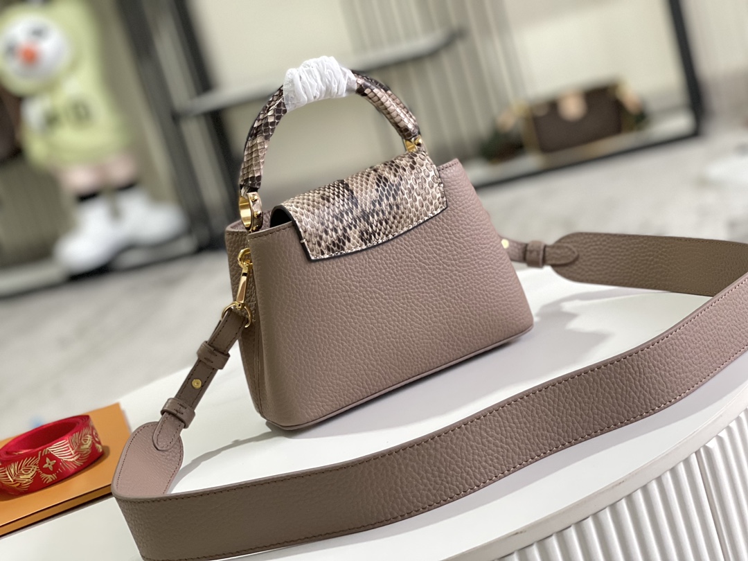 LV Bag