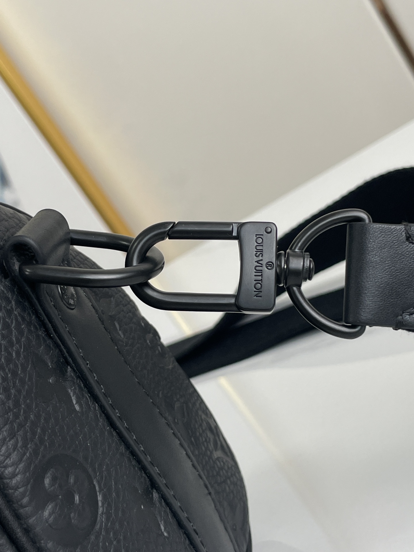 LV Bag