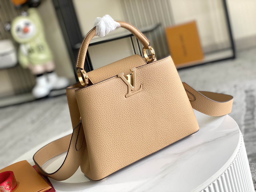 LV Bag