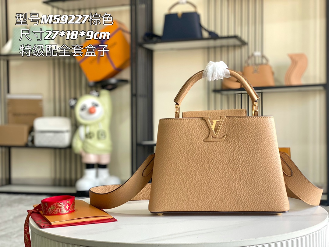 LV Bag