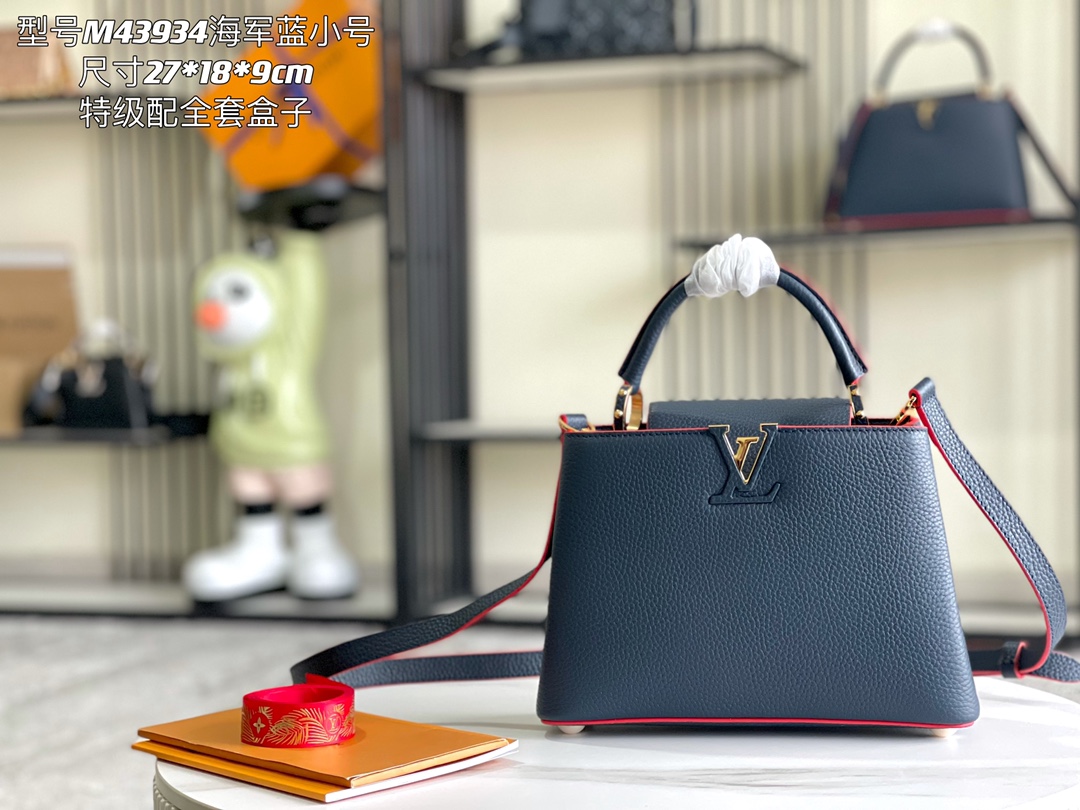 LV Bag