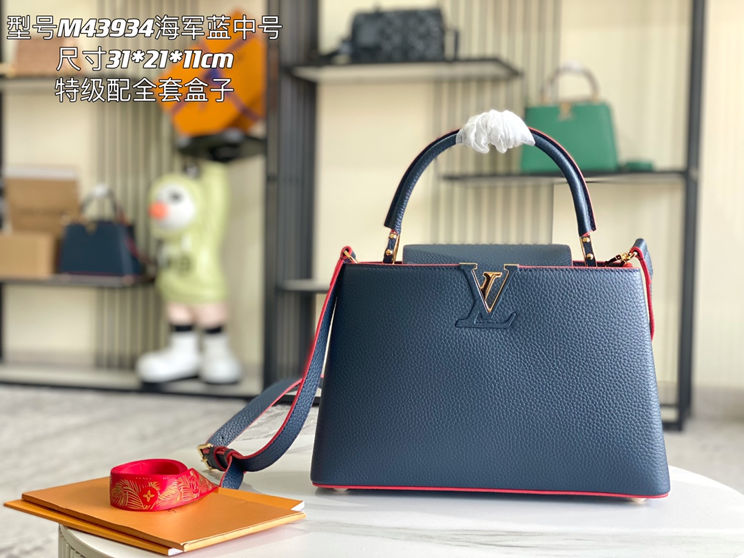 LV Bag