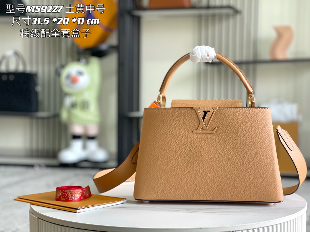 LV Bag