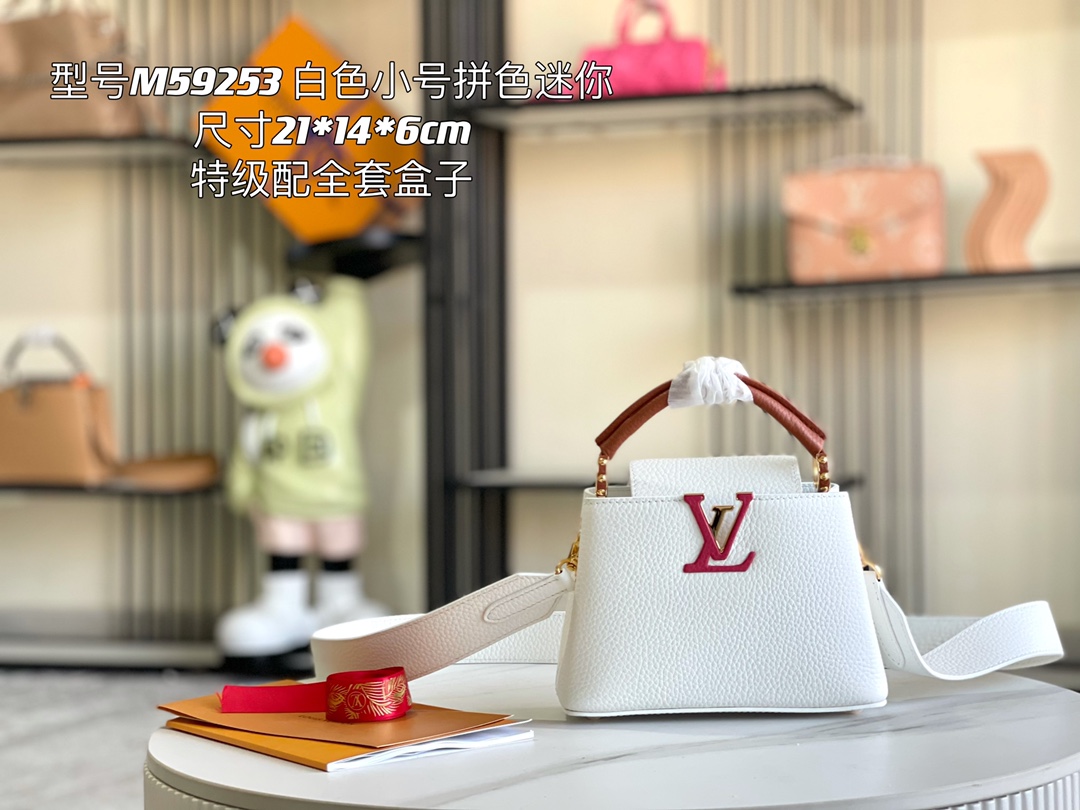 LV Bag