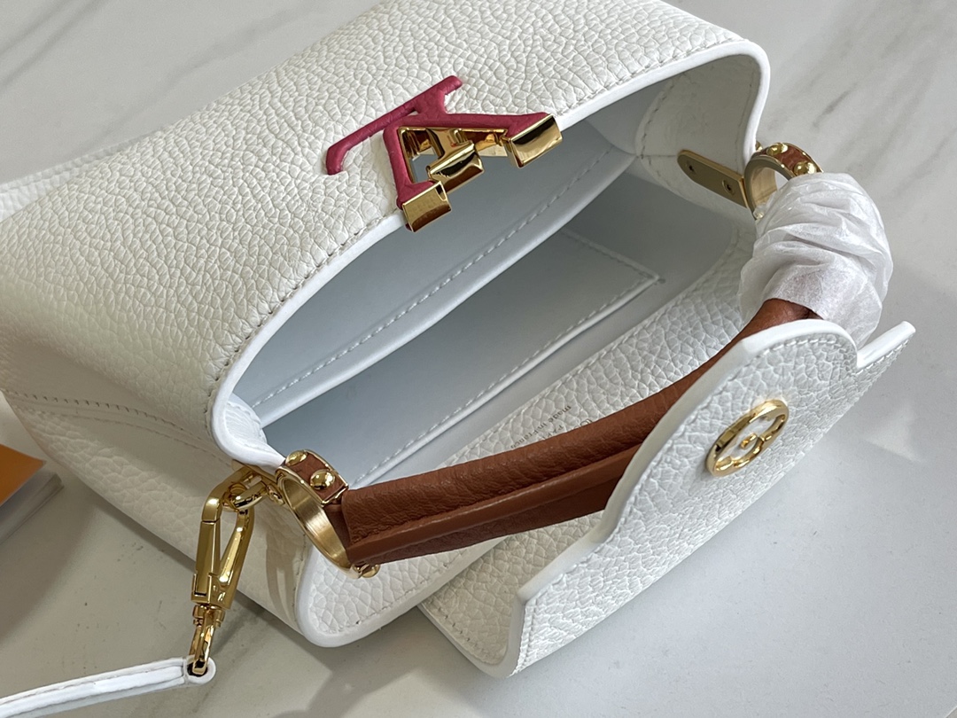 LV Bag