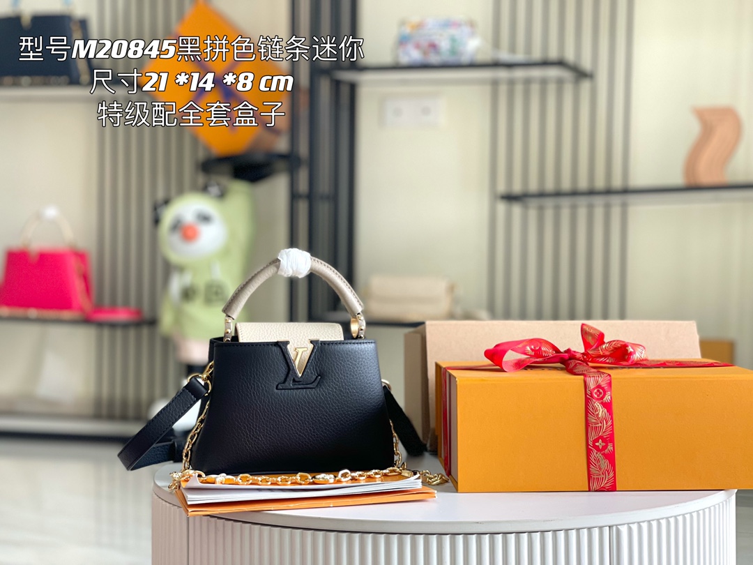 LV Bag