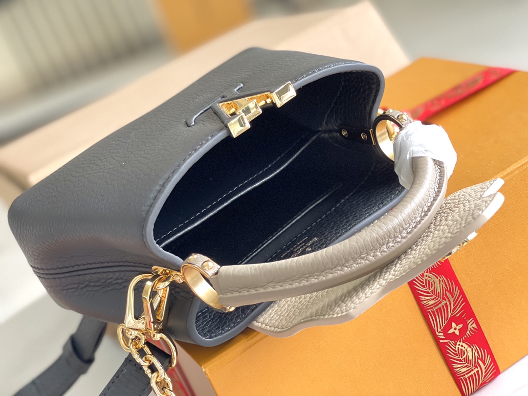 LV Bag