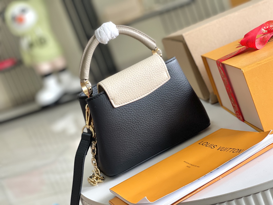 LV Bag