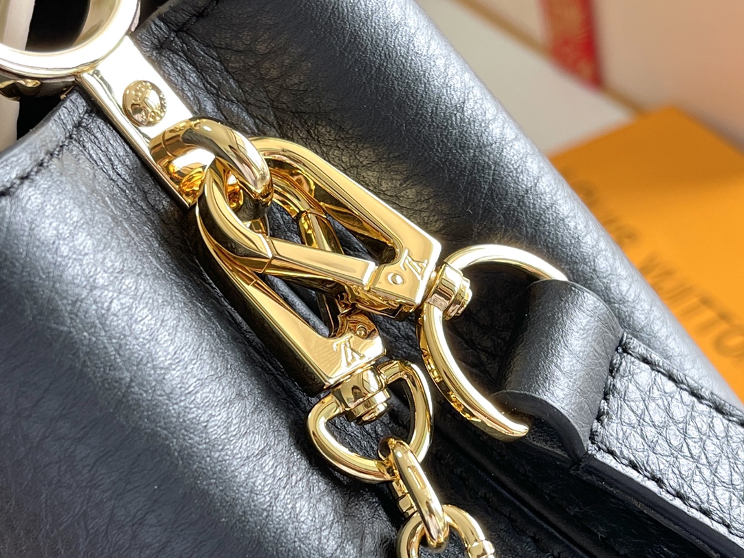 LV Bag