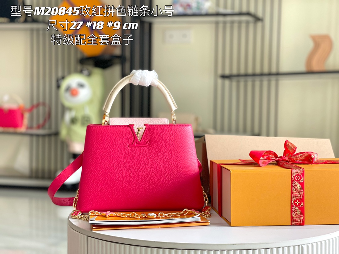 LV Bag