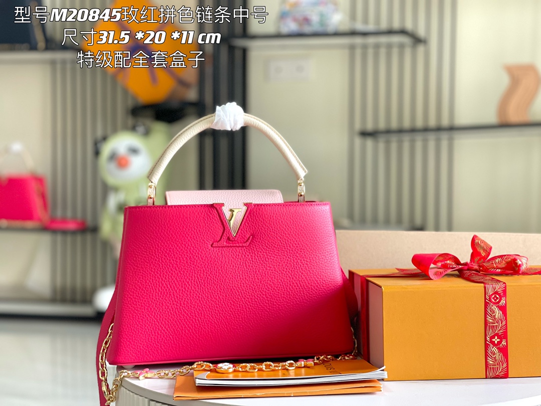 LV Bag