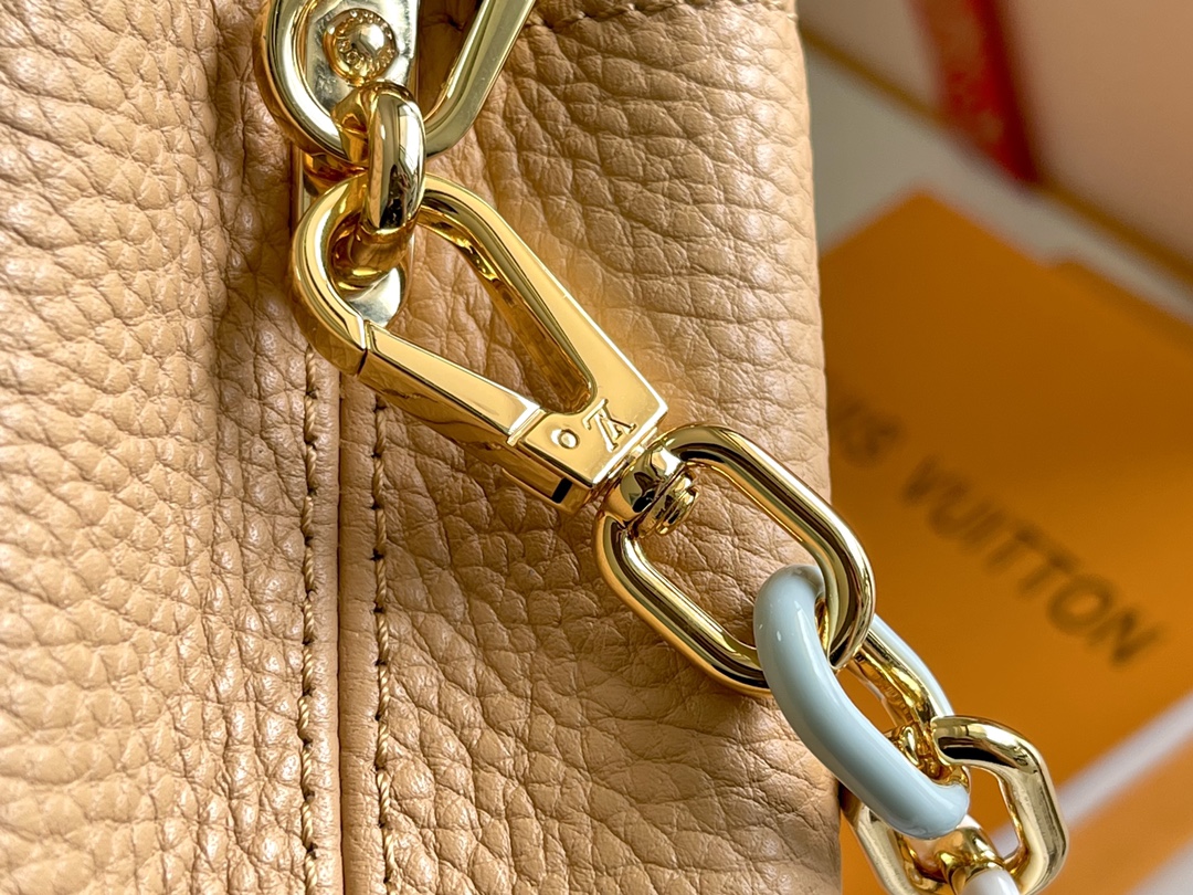 LV Bag