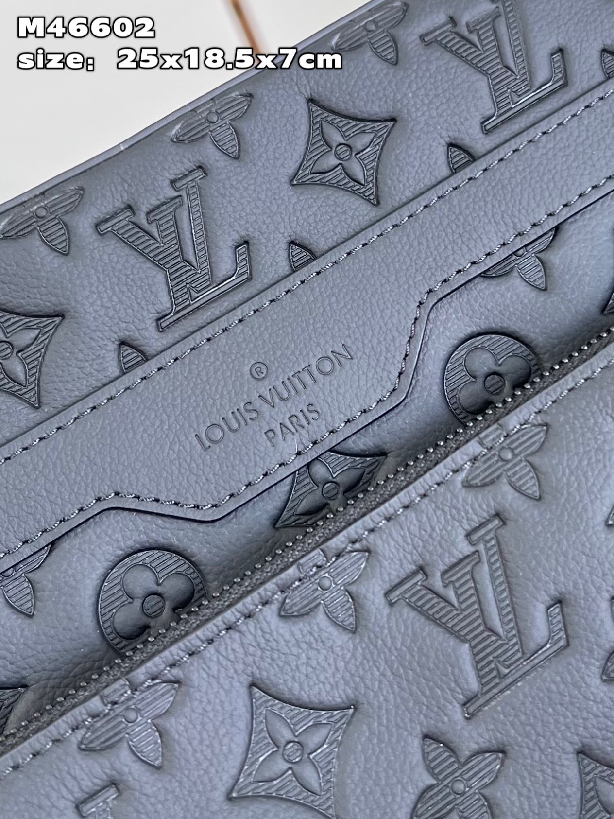 LV Bag