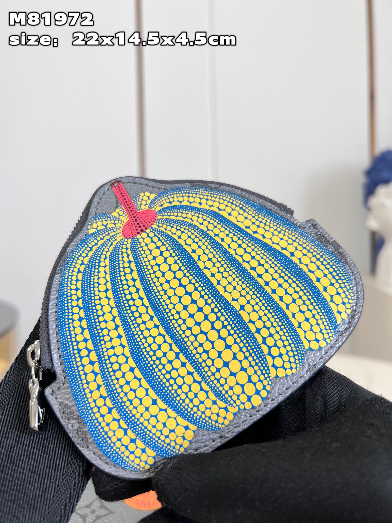 LV Bag