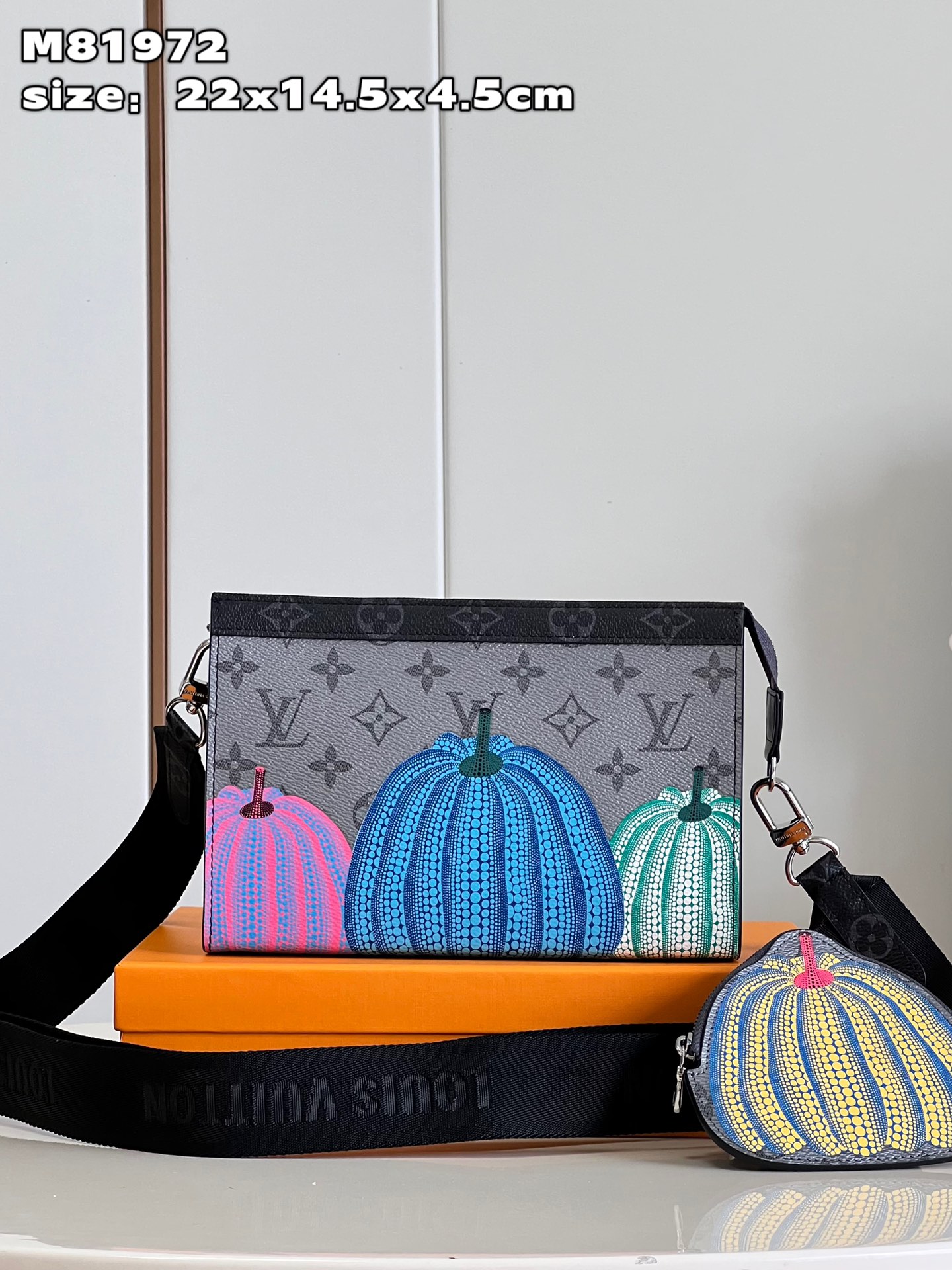 LV Bag