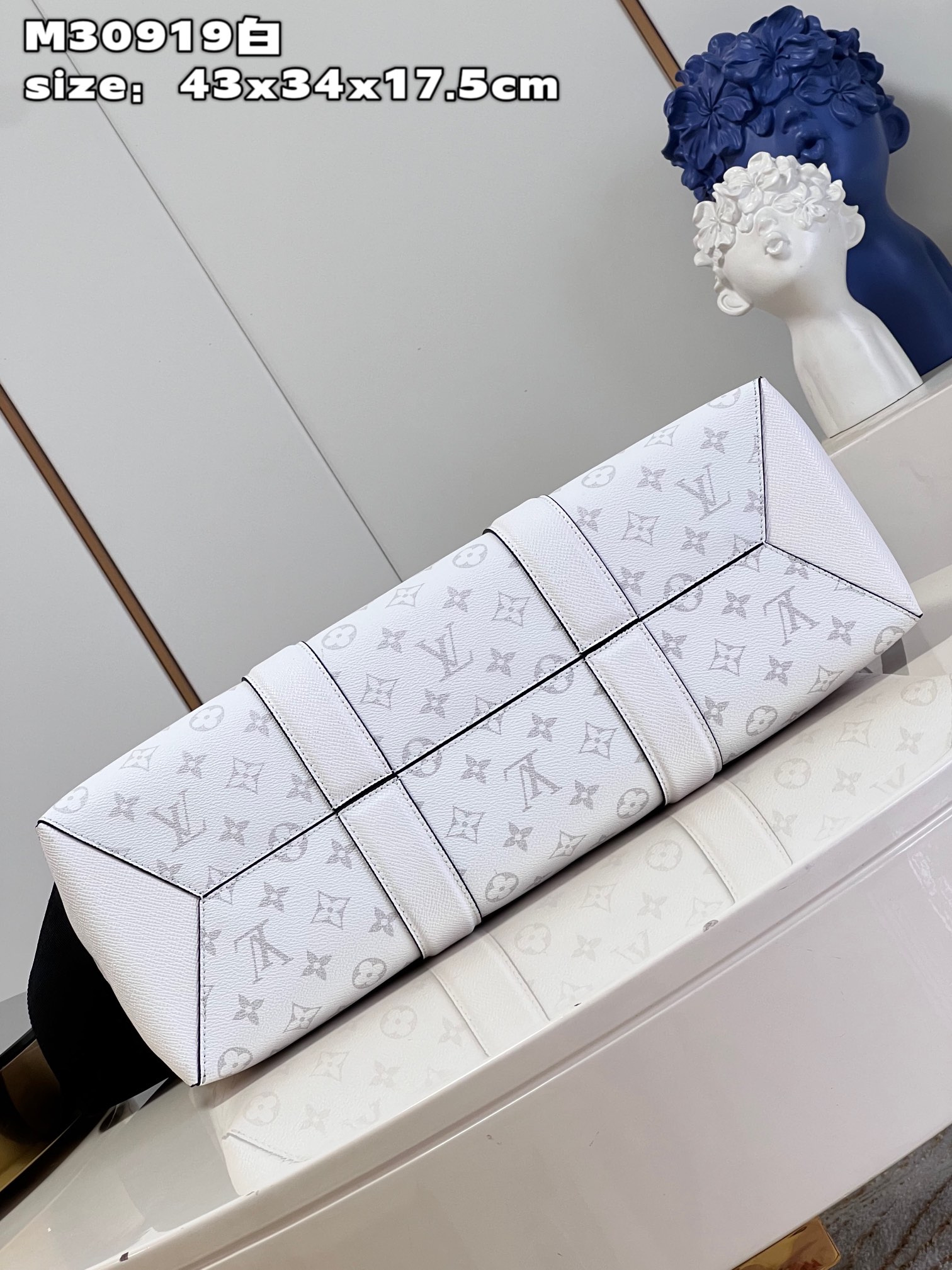 LV Bag