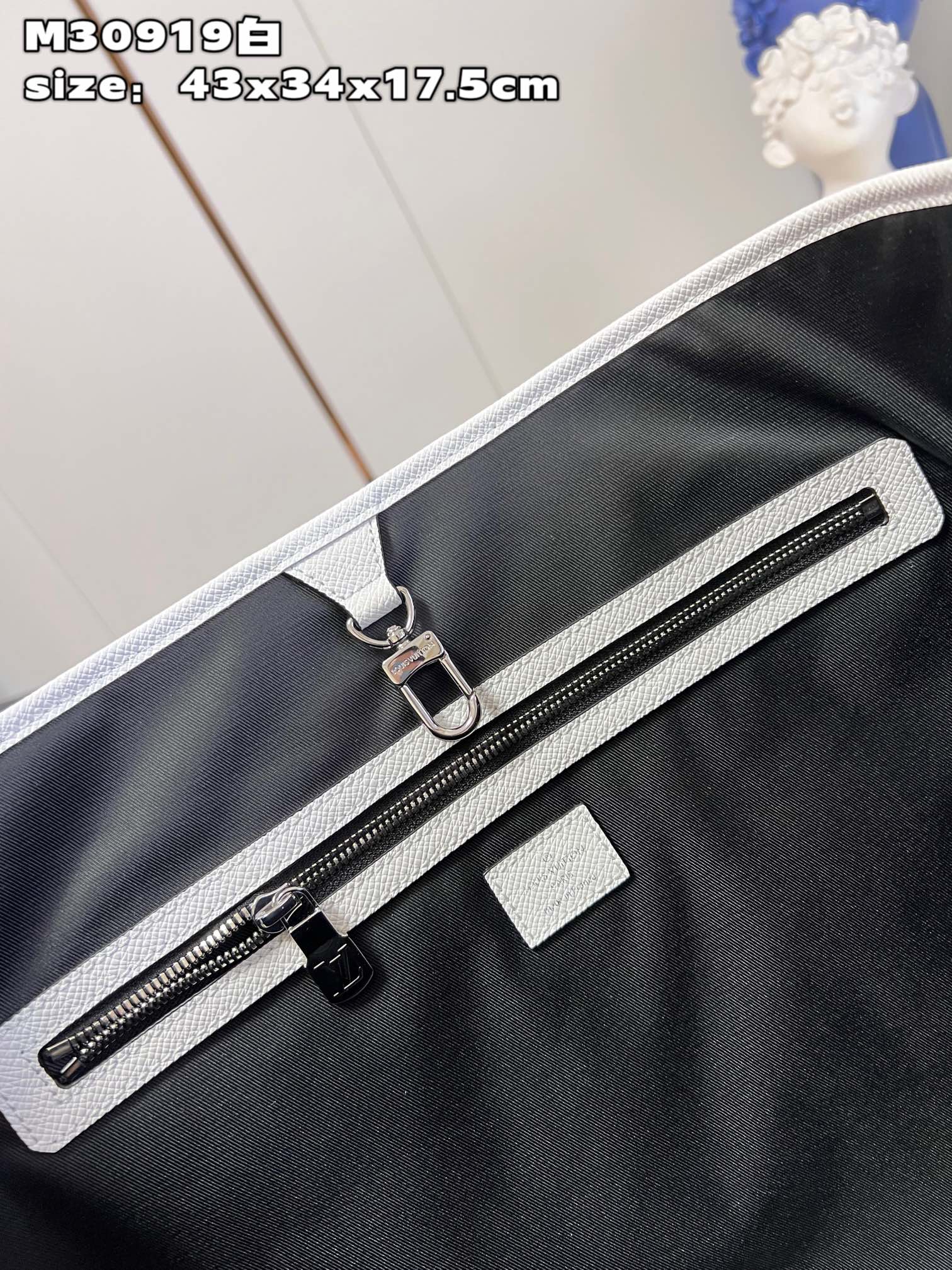 LV Bag