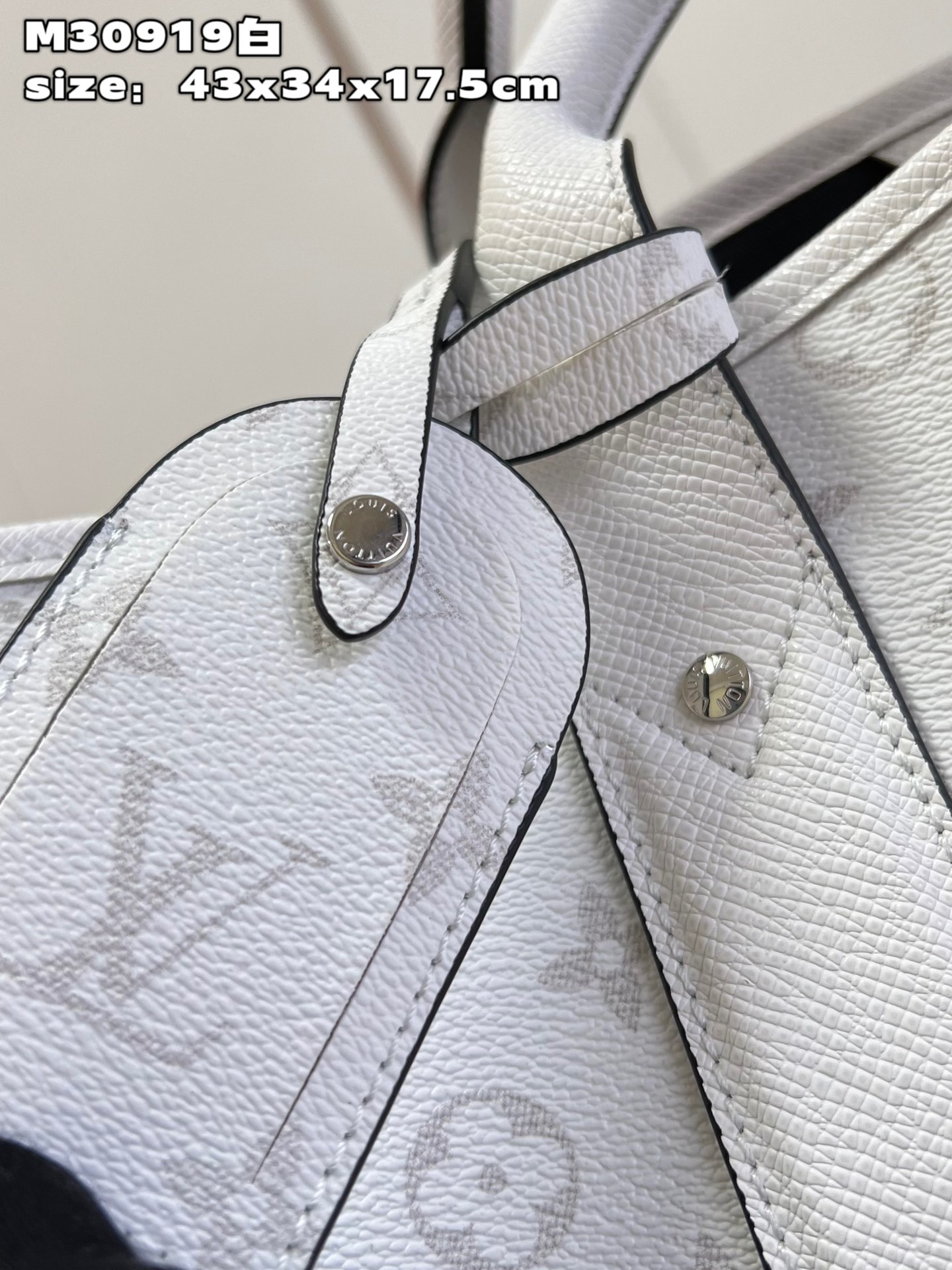 LV Bag