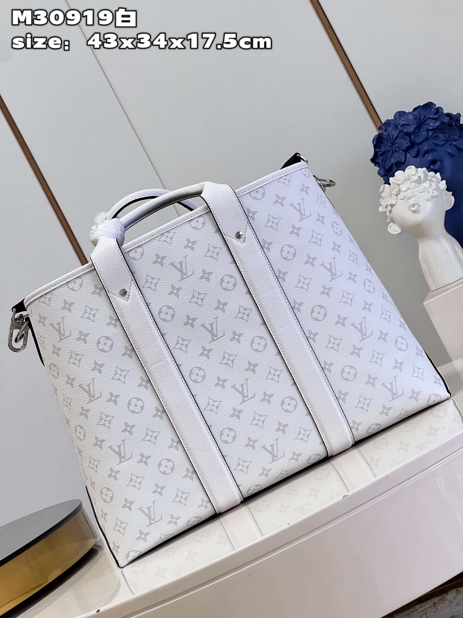 LV Bag