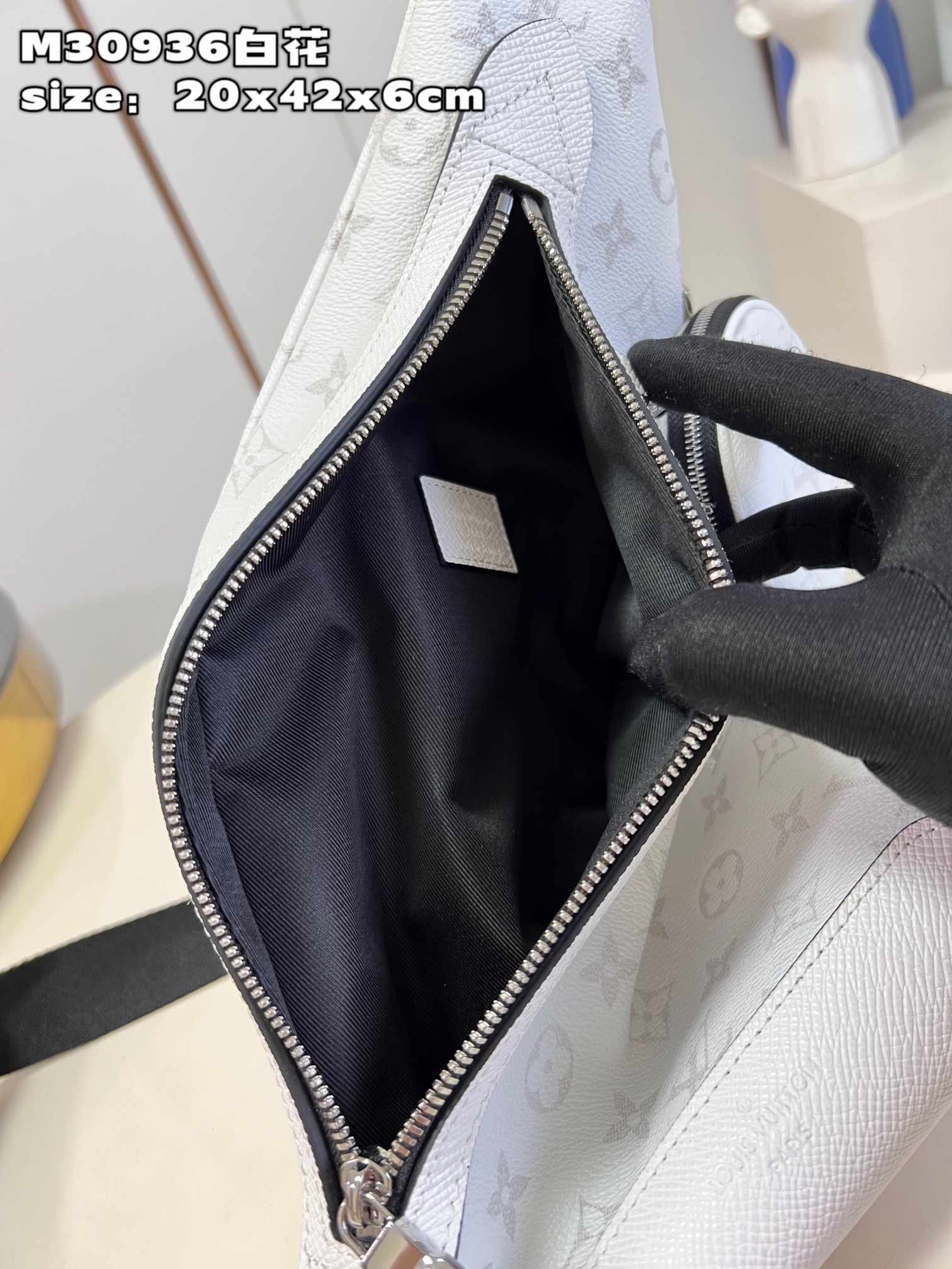 LV Bag