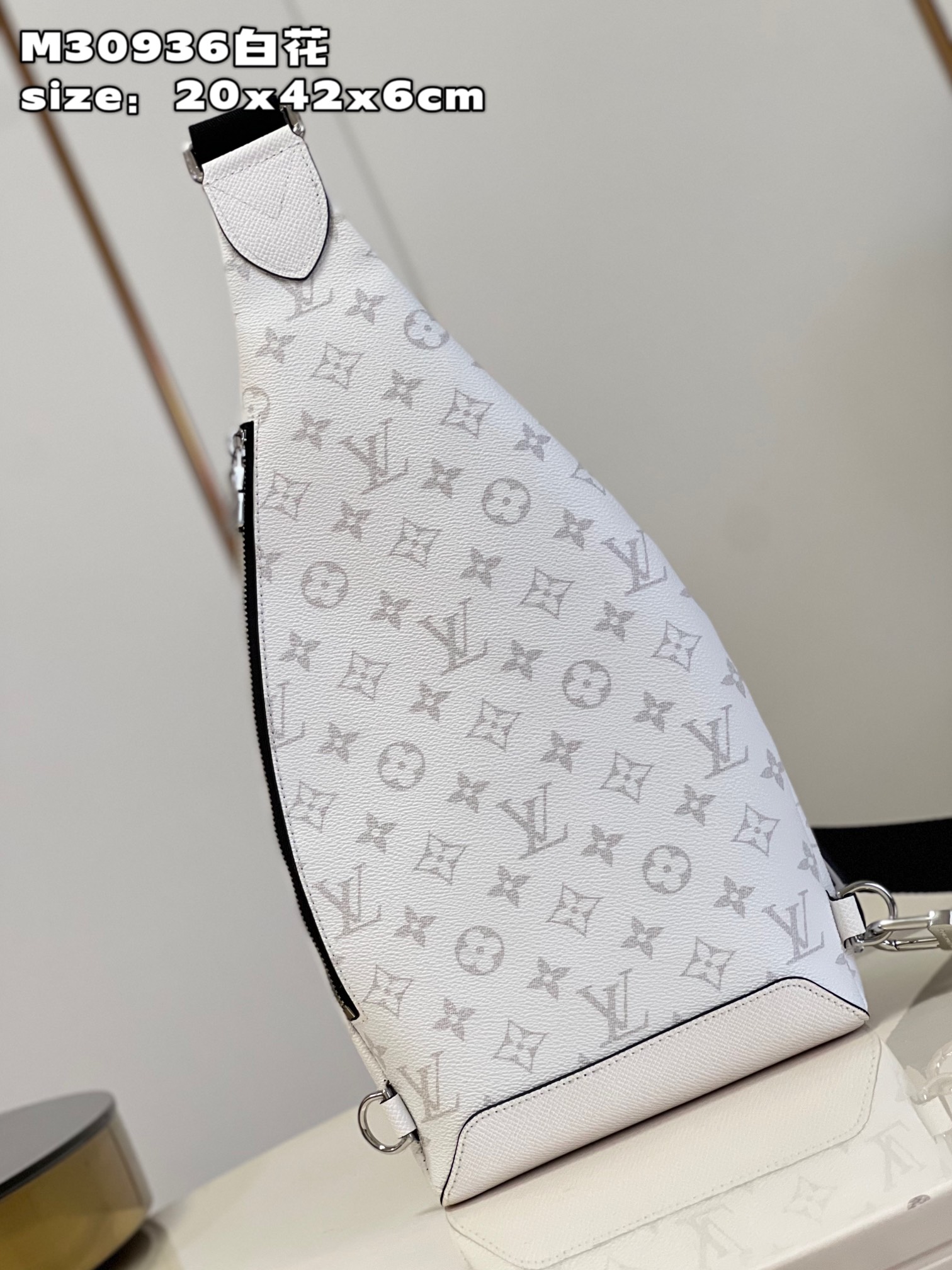 LV Bag